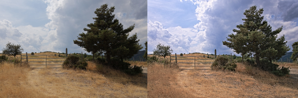 jpg raw comp 2
